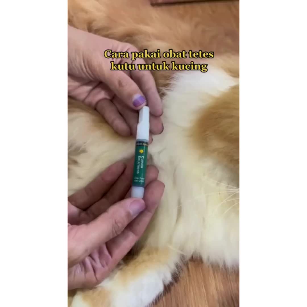 Clever Solutions - ( Bisa COD ) Obat Tetes Kutu Kucing 2ml Penghilang Kutu Anti Parasit