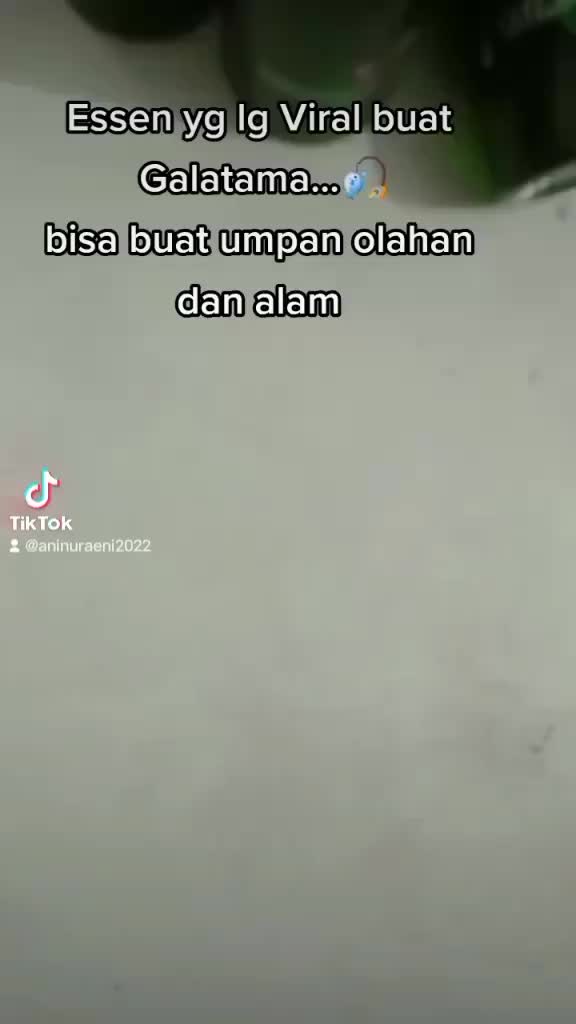 esen TUKANG RAMPOK TR MERAH 30ml