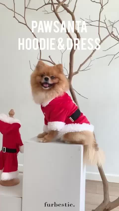 Furbestie by Pomapoo - Baju Kucing dan Baju Anjing Pawsanta