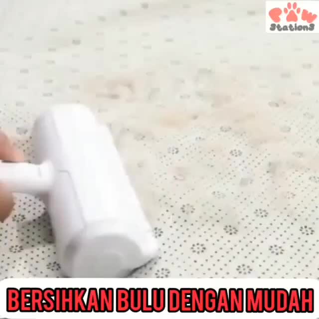 Alat Pembersih Bulu Kucing Rambut Anjing Bisa Dipakai Ulang