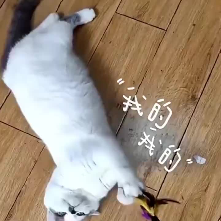 Mainan Kucing Cat Teaser Cat Toys Stick Mainan Kucing bulu Lonceng Krincing