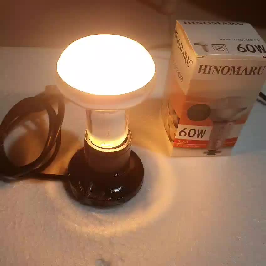 LAMPU PENGHANGAT AYAM/KUCING/HEWAN REPTIL 25 WATT 40 WATT  60 WATT