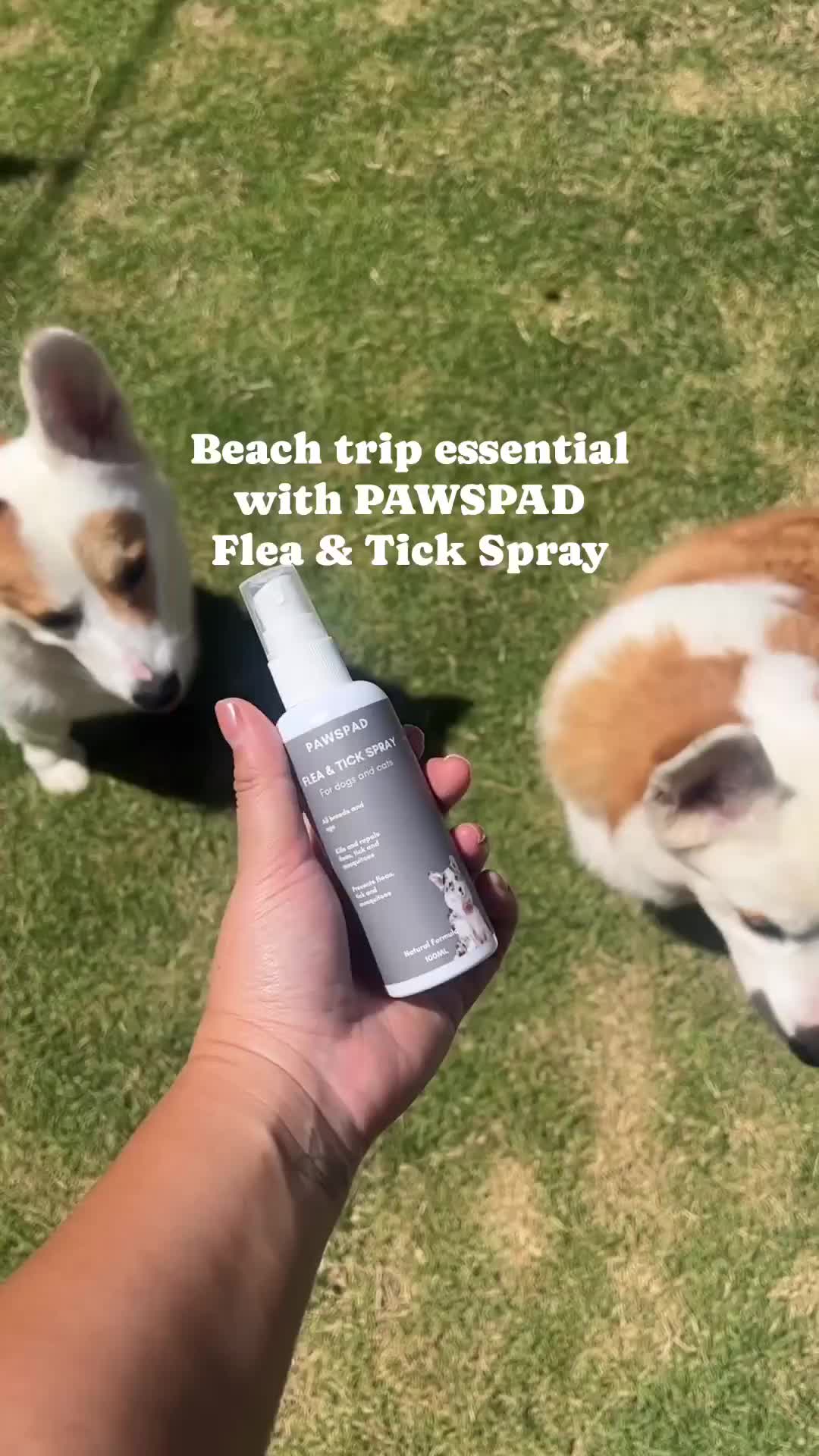 Pawspad Flea and Tick Spray Anti Kutu Bahan Natural dan Vegan untuk Anjing dan Kucing 100ml