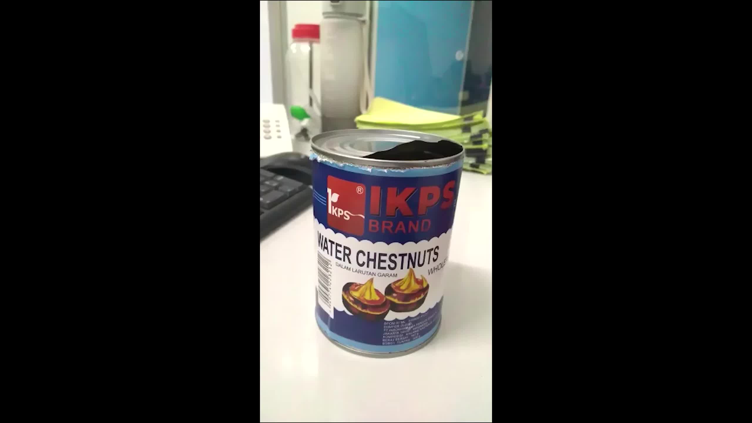 IKPS Water Chestnuts Kacang Kastanye 567 Gram