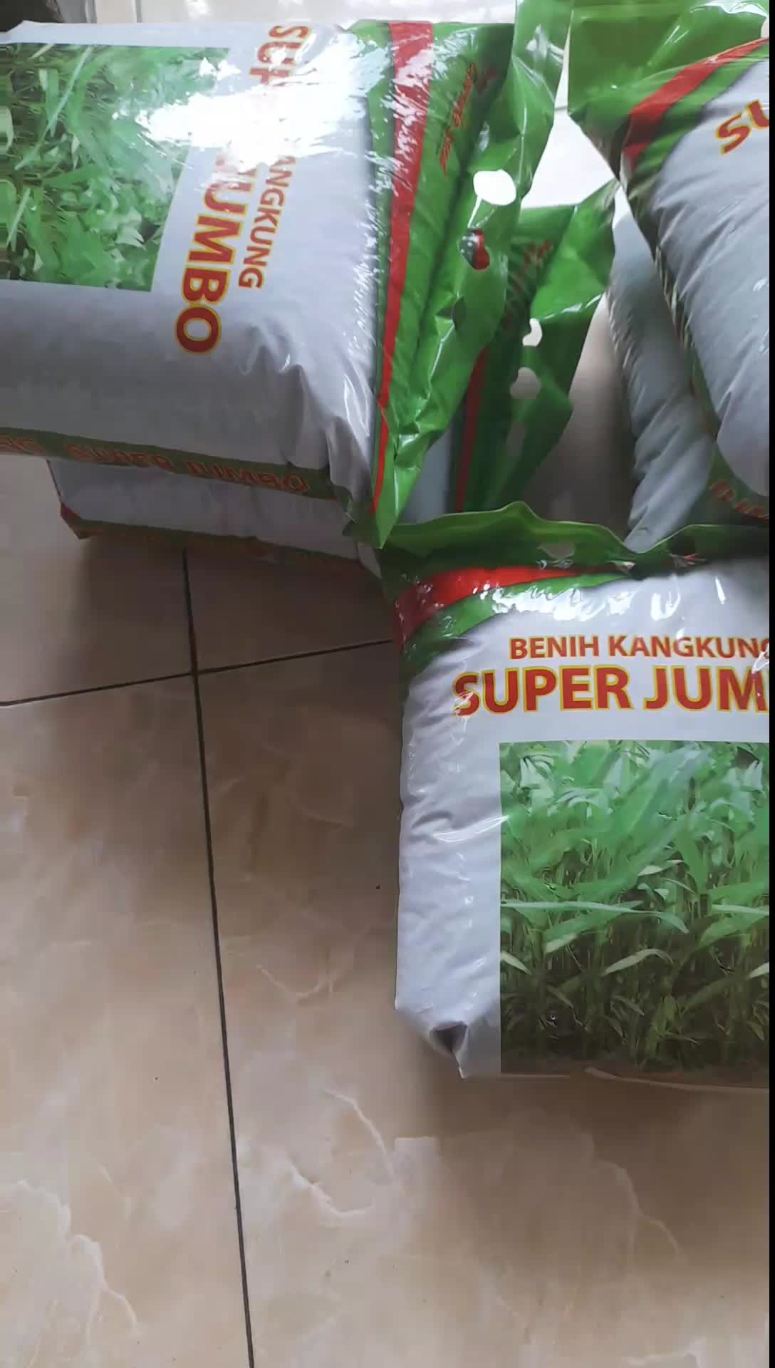 Garuda Seed Benih Kangkung Unggul Super Jumbo 5KG Kemasan Isi 5KG Berkualitas Tinggi untuk Pertumbuhan Optimal dan Buah Melimpah - Tanaman