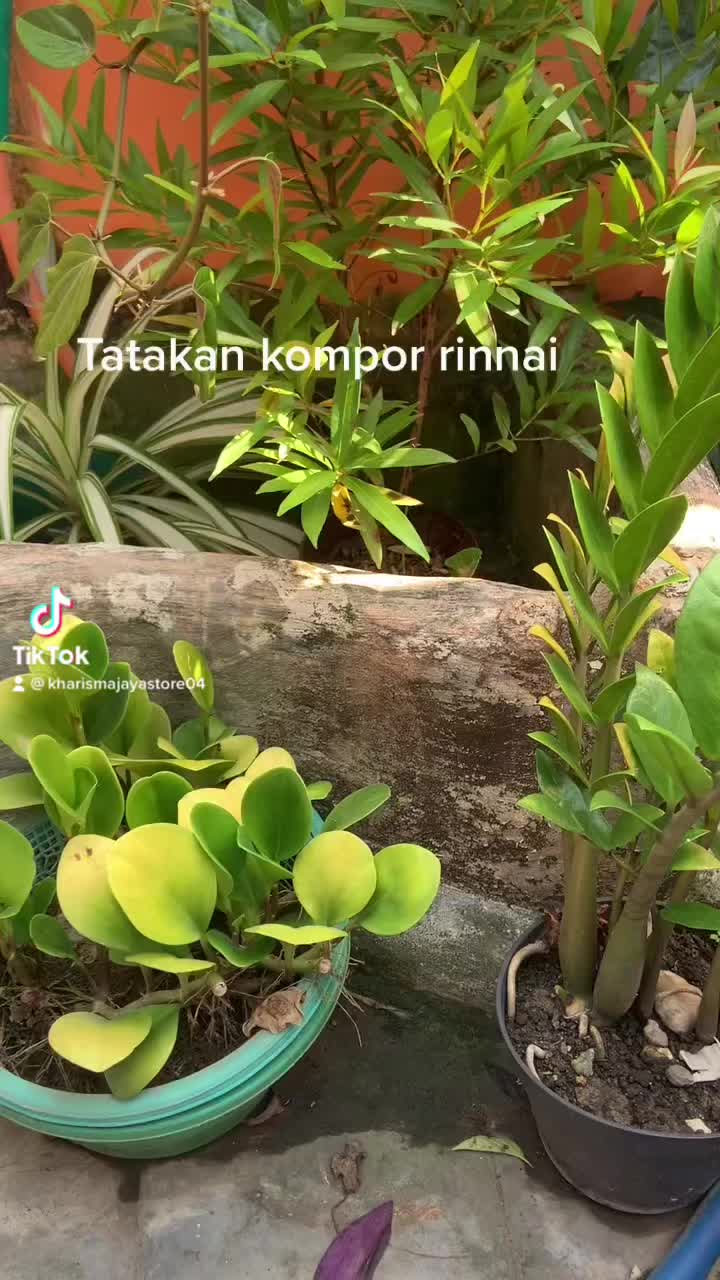 Tatakan Tungku Kompor Gas Rinnai Kaki 6 RI 712 BGX RI 602 BGX Dll Besi