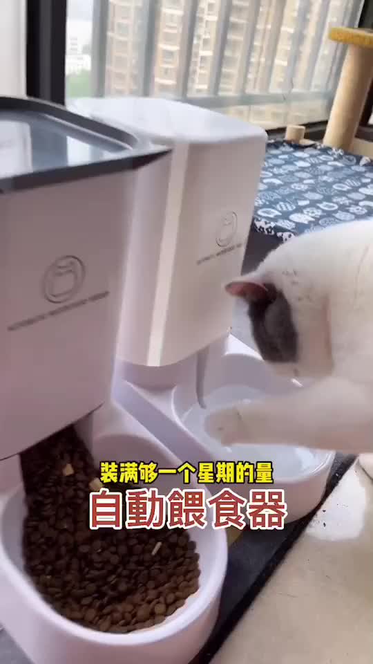 Pet Feeder Tempat Makan Anjing/Kucing Dispenser Minum Hewan