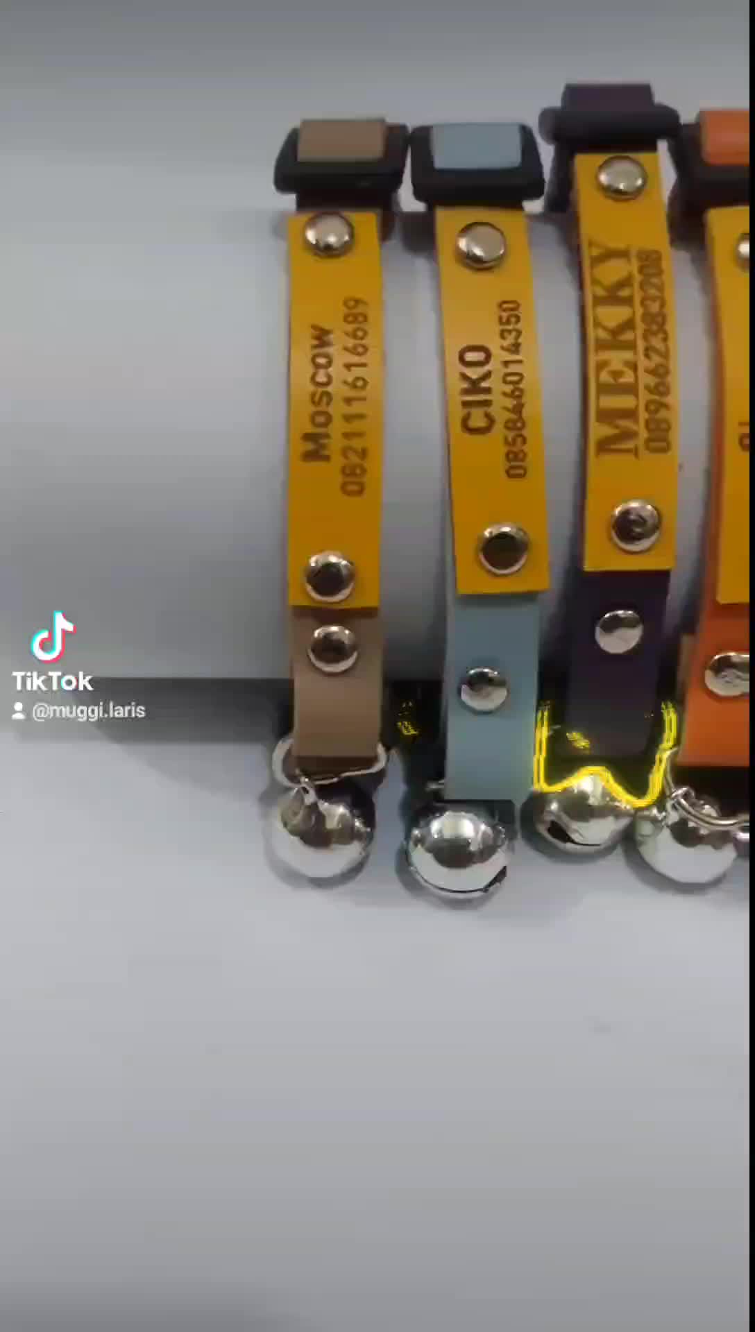 Kalung Kucing Custom Nama dan Nomor Hp