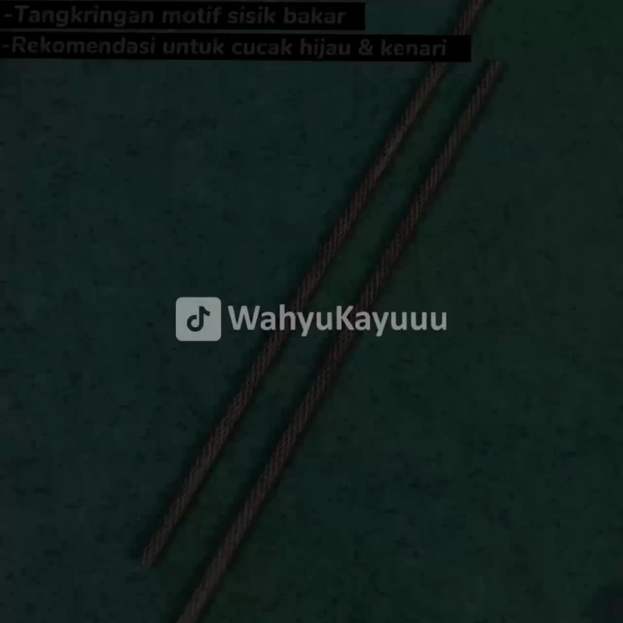 TANGKRINGAN CUCAK IJO / KENARI SISIK BAKAR DIAMETER LINGKAR 1 CM & 1,2 CM