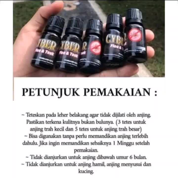 Obat Kutu Anjing Terampuh MASTER Flea & Tick