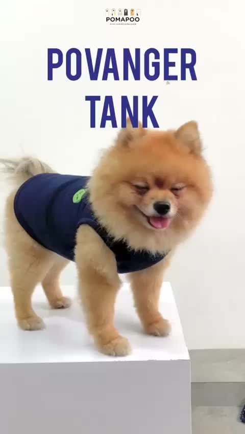 POMAPOO - Baju Kucing dan Baju Anjing Povanger Tank
