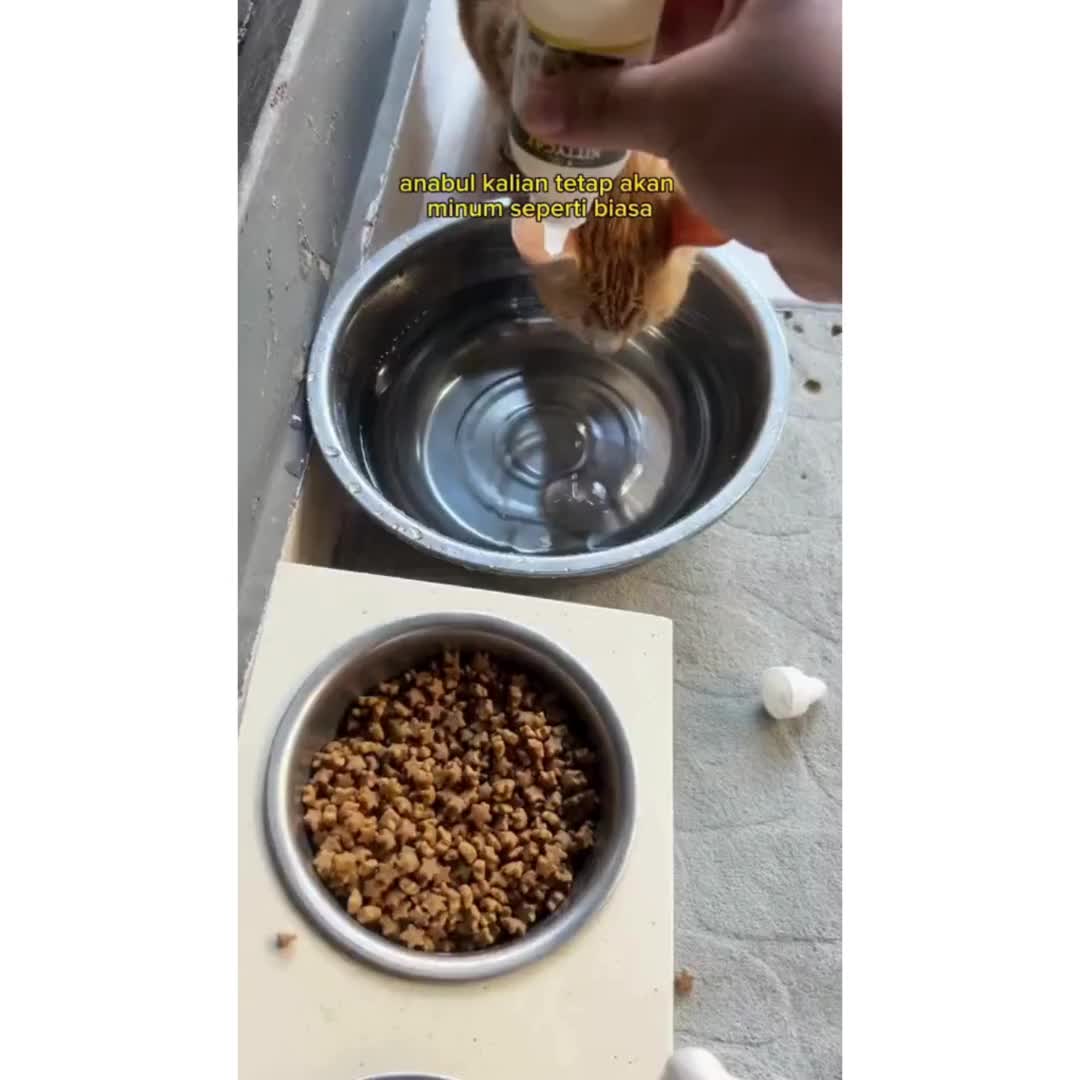 Clever Solutions - Kittycat Vitamin Penumbuh Bulu Kucing untuk Pertumbuhan yang Lebih Baik