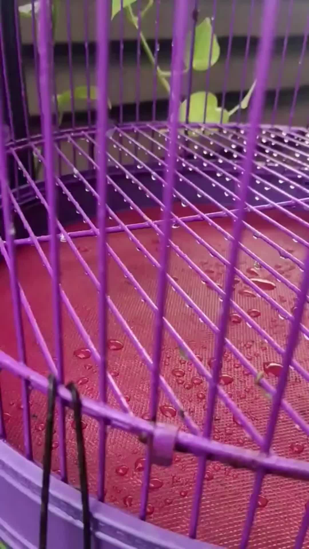 KARPET DASAR / PERLAK DASAR SANGKAR BURUNG LOVEBIRD
