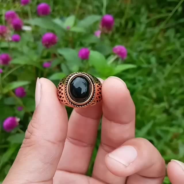 Cincin Pnglima Kumbang Asli