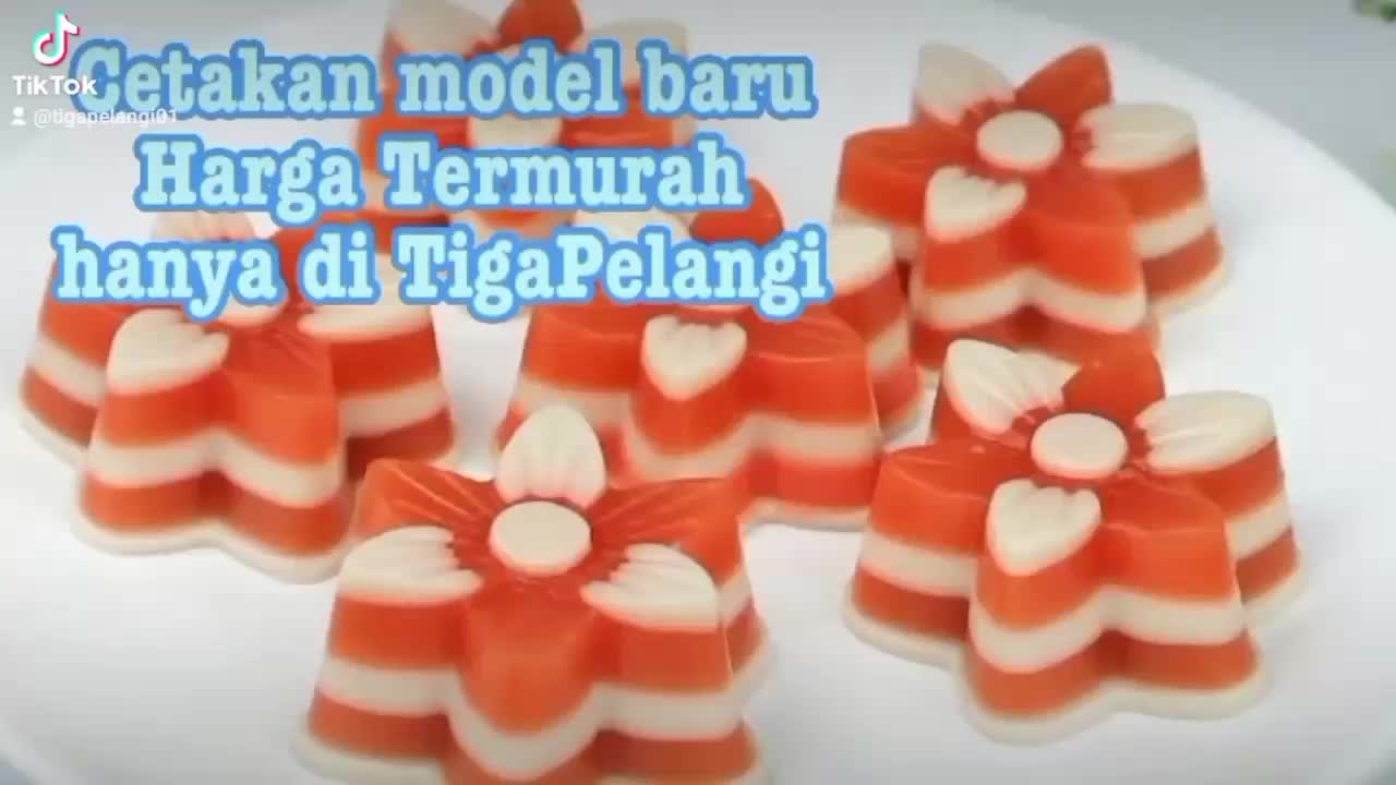 Cetakan agar jelly putu ayu puding kue talam mawar melati twister tulip teratai jasmin bolu kukus  bulat  plastik Kitchenware