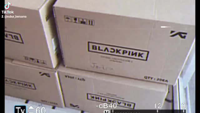 Ready Stok Lightstick BlackPink Ver 1 official Logo YG Baterai