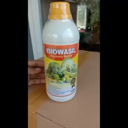 Promo Biowasil 500 ML - Obat Semprot Anti Hama Padi Sawah Terbaik Paling Bagus, Pupuk Pestisida Padi Sawah Pembasmi Hama Wereng, Merah Padi, Belalang, Sundep, Bercak Padi Sawah dll - Pupuk Pelebat Buah Pengendali Hama Padi Sawah Pada Tanaman