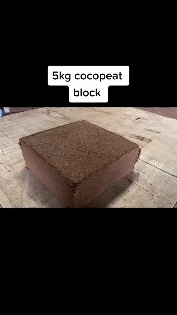 Cocopeat block 5kg SUPER MENGEMBANG BISA UNTUK 7 GALON - media tanam organic cocopit press Tanaman Benih