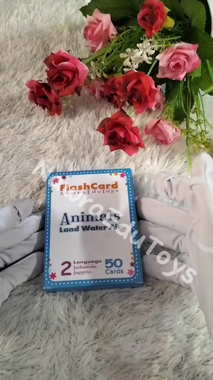 Flashcard BINATANG Darat Air Udara, Kartu Pintar Belajar Hewan Fauna, Flash Card Animal