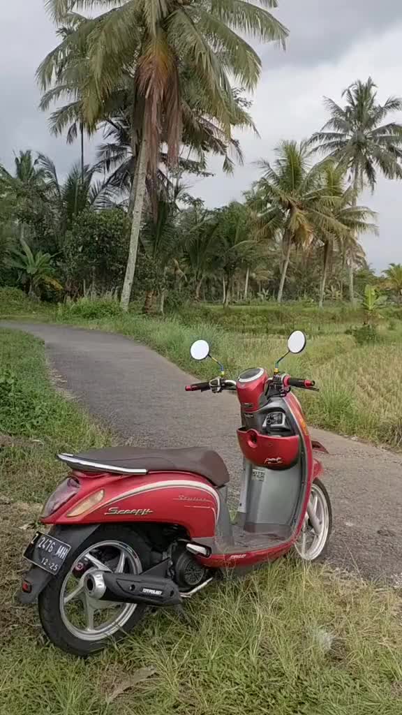 Knalpot TZM PROJECT STANDAR RACING SCOOPY BEAT NEW OLD VARIO MIO AEROX NMAX PCX dan lain lain Motor