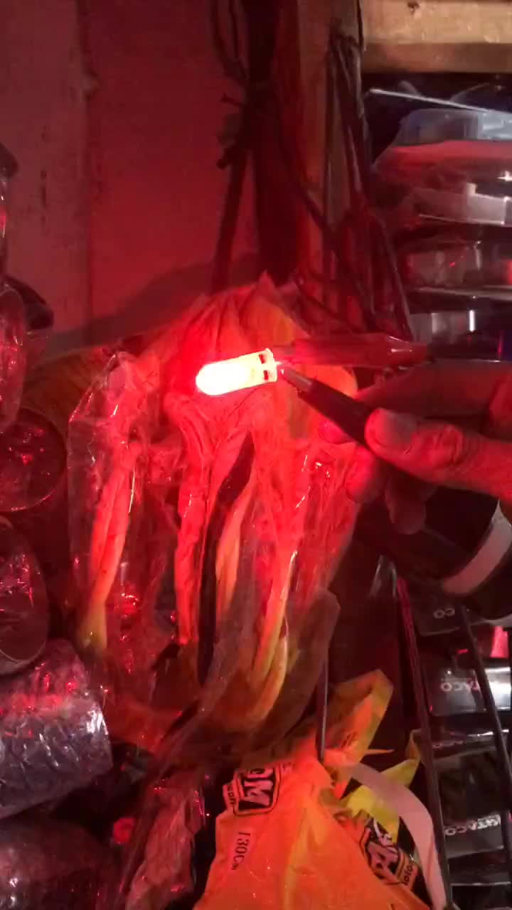 LAMPU LED / SENJA 2 WARNA