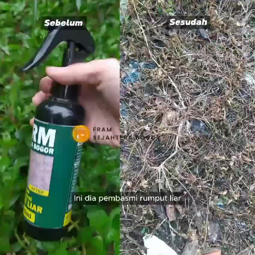 cairan pembasmi rumput liar 1 liter(siap pakai tidak perlu tambah air lagi) Tanaman
