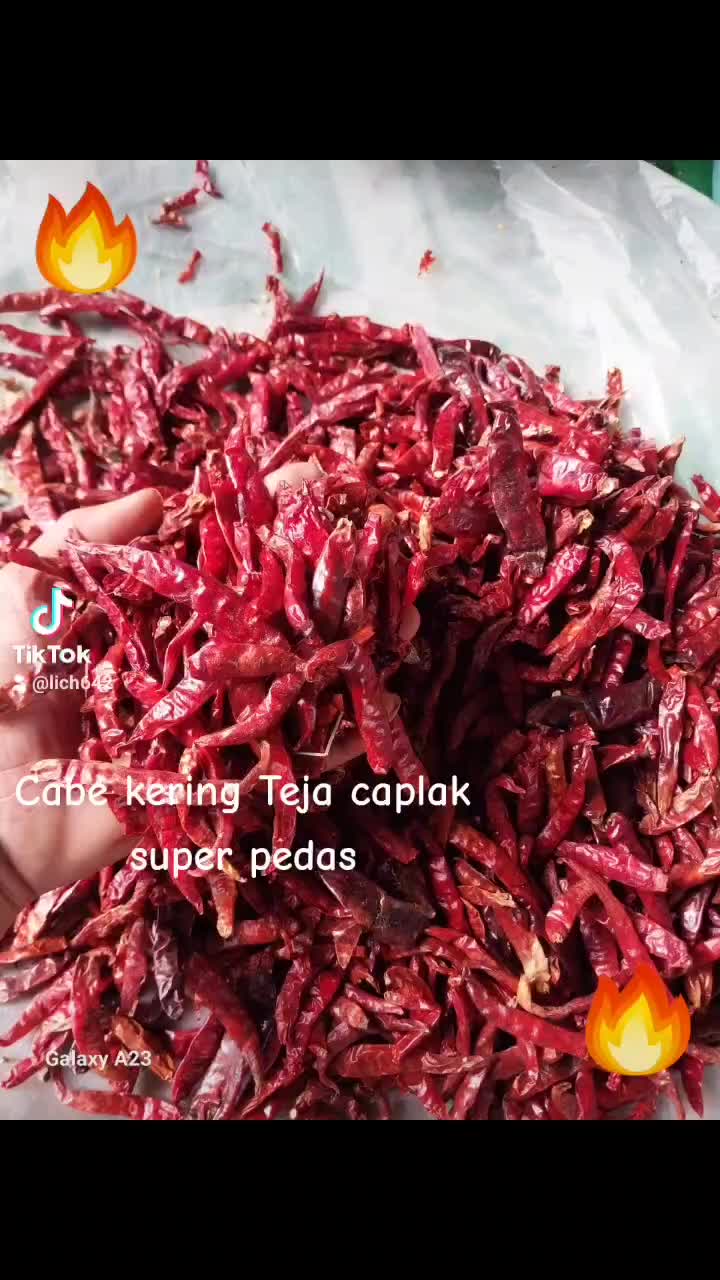 1KG PREMIUM CABE RAWIT SUPER MERAH CABE RAWIT TEJA KERING MURAH Alami Pedas Cabai Rempah