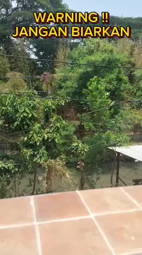 Boomklin Penghilang Bau Pesing Kotoran Hewan Kucing Anjing 250ml Pet Odor Remover (Kemasan Baru)