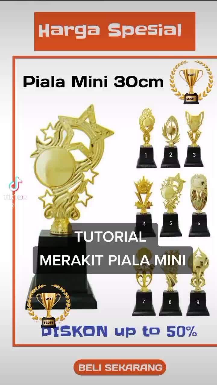 Piala Mini Ekonomis I Piala 30cm | Trophy | Trofi | Piala Penghargaan | Hadiah Lomba