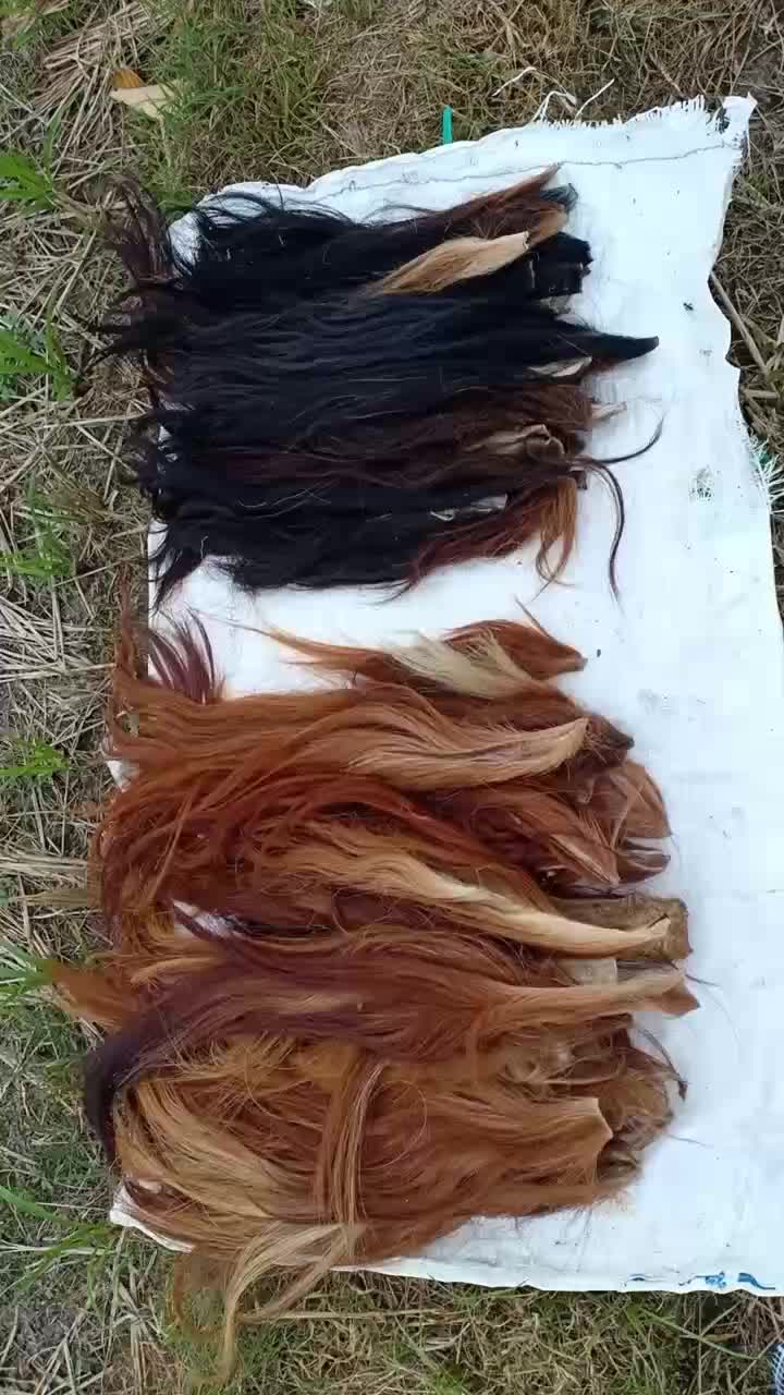 Bahan Kerajinan Hitam Rambut Sapi Warna Hitam dan Coklat Panjang 25-35 cm untuk Proses Kerajinan Anda