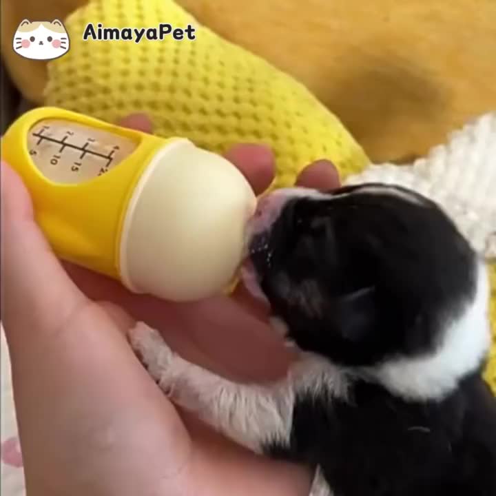 AimayaPet Botol Kucing Dot Susu Kucing Botol Pet Feeding Bottle 20ML Susu Kucing Baru Lahir Dot Susu Anjing Pet Dot Kucing