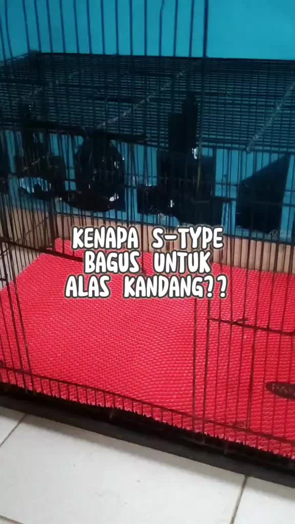 ALAS KANDANG HEWAN || KUCING ANJING REPTIL TORTO KURA || KARPET JARING