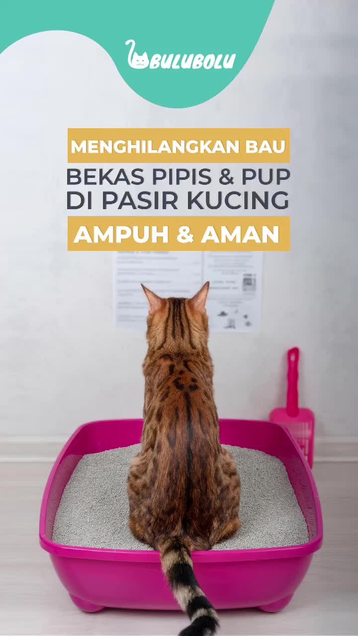 Bulubolu Odor Control Penghilang Bau 250ml