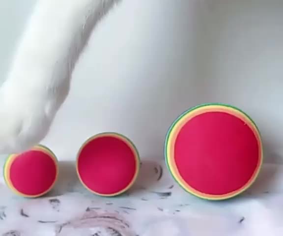 Mainan Kucing Rainbow Ball Mainan Anjing Bola Kucing Kitten Dog Toys Cat Toys Lucu