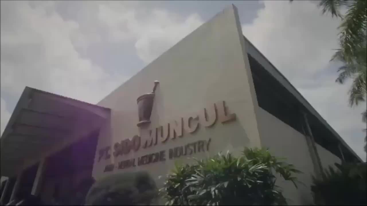 SIDOMUNCUL JAMU PEGAL LINU 10 SACHET, HERBAL PEGAL LINU NYERI OTOT SENDI CAPEK PRIA WANITA SIDO MUNCUL