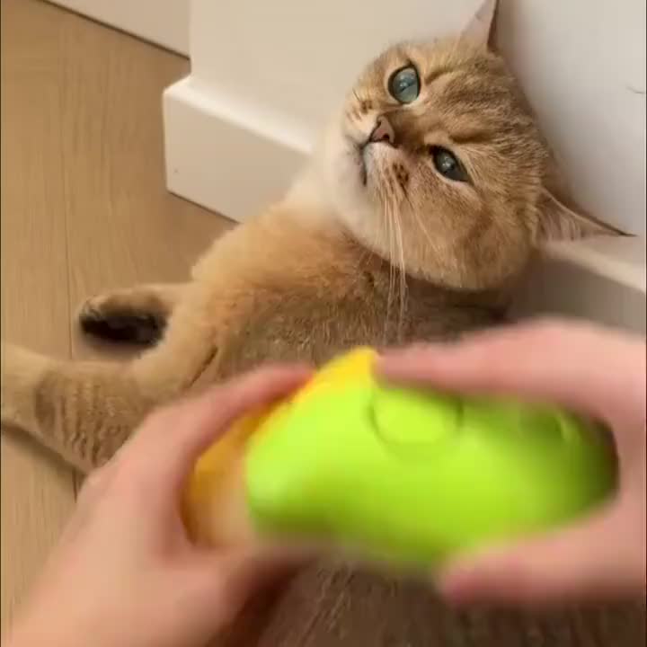 Sikat Uap Hewan Peliharaan / Perlengkapan Hewan Peliharaan/> Perawatan Anjing & Kucing/Pet Sisir /Pet Sikat Pisang kuning