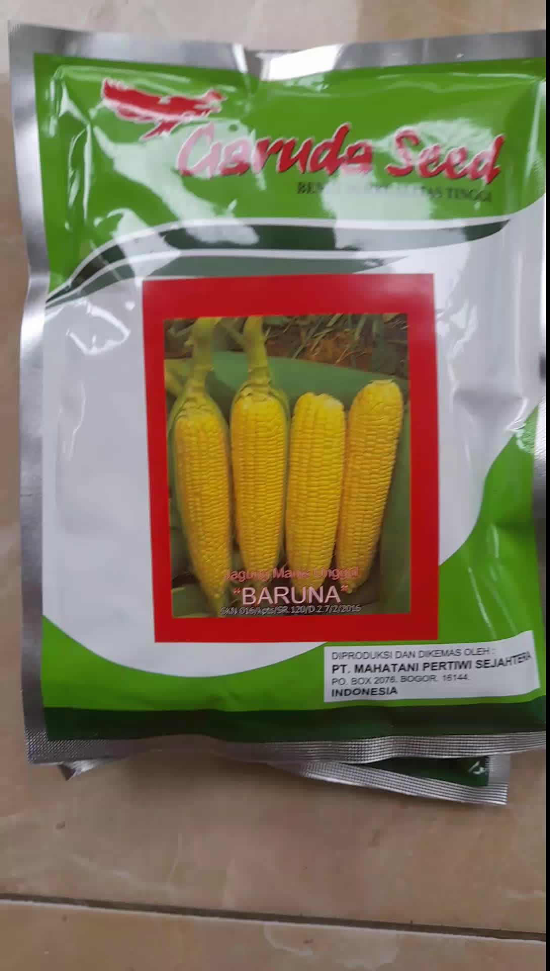 Benih Jagung Manis Unggul BARUNA 250 Gram, Tanaman Garuda
