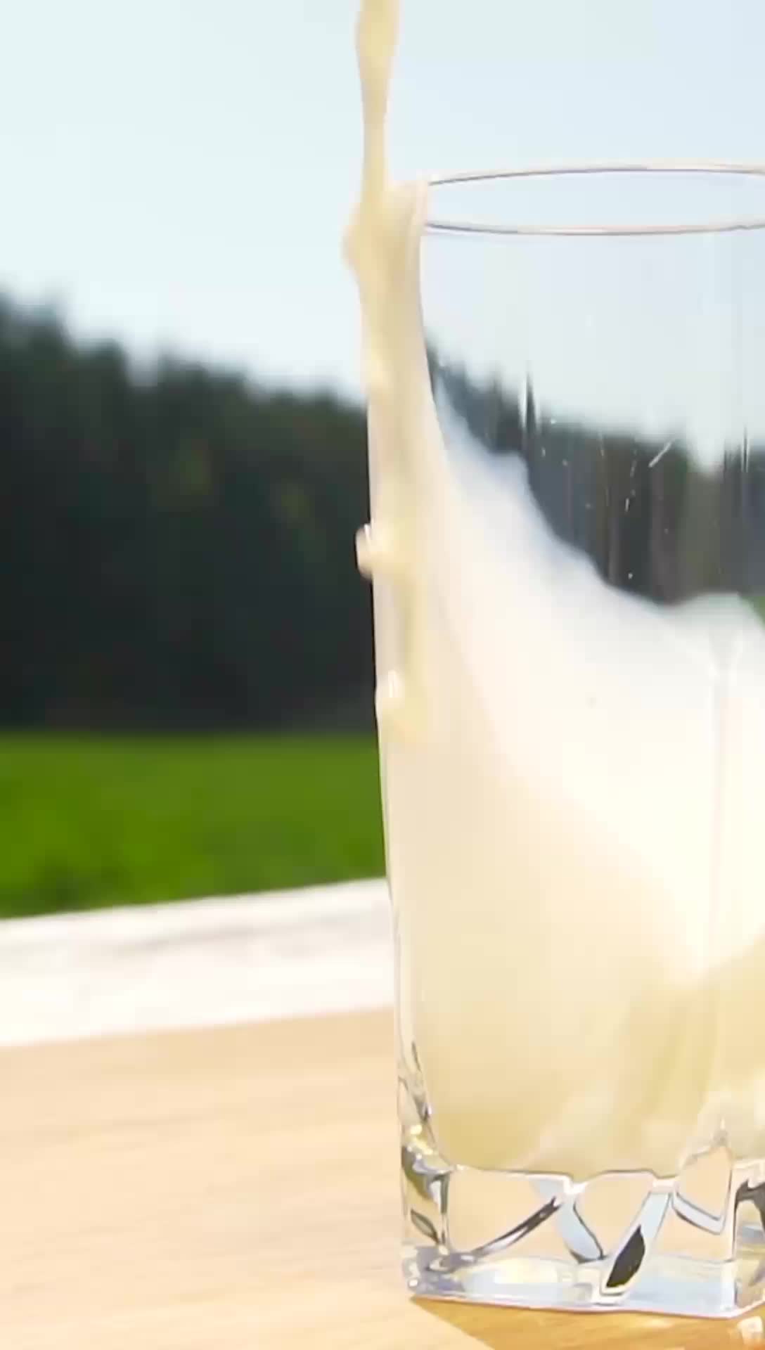 Gomilku Gold SR12 Susu Kambing Etawa Bubuk Asli dengan Bahan Tambahan Ekstak Jahe dan Ekstrak Salmon Untuk Nutrisi Sendi dan Tulang Gula Dairy