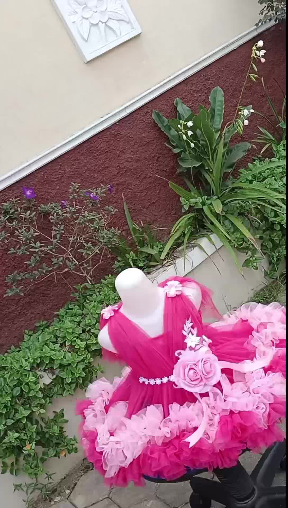 Petite aurora bunga mawar  Manis