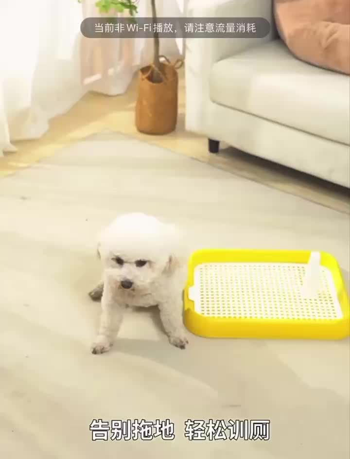 Pet Toilet Training Tray Pee Pad tipe datar anti licin gampang cuci dengan bentuk jaring untuk anjing besar dan kecil Praktis digunakan dan Mudah dibersihkan
