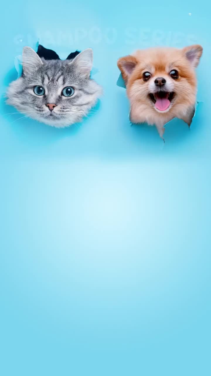 Nomnomcluppy Shampoo Anti Kutu Kucing dan Anjing Ampuh 250ml