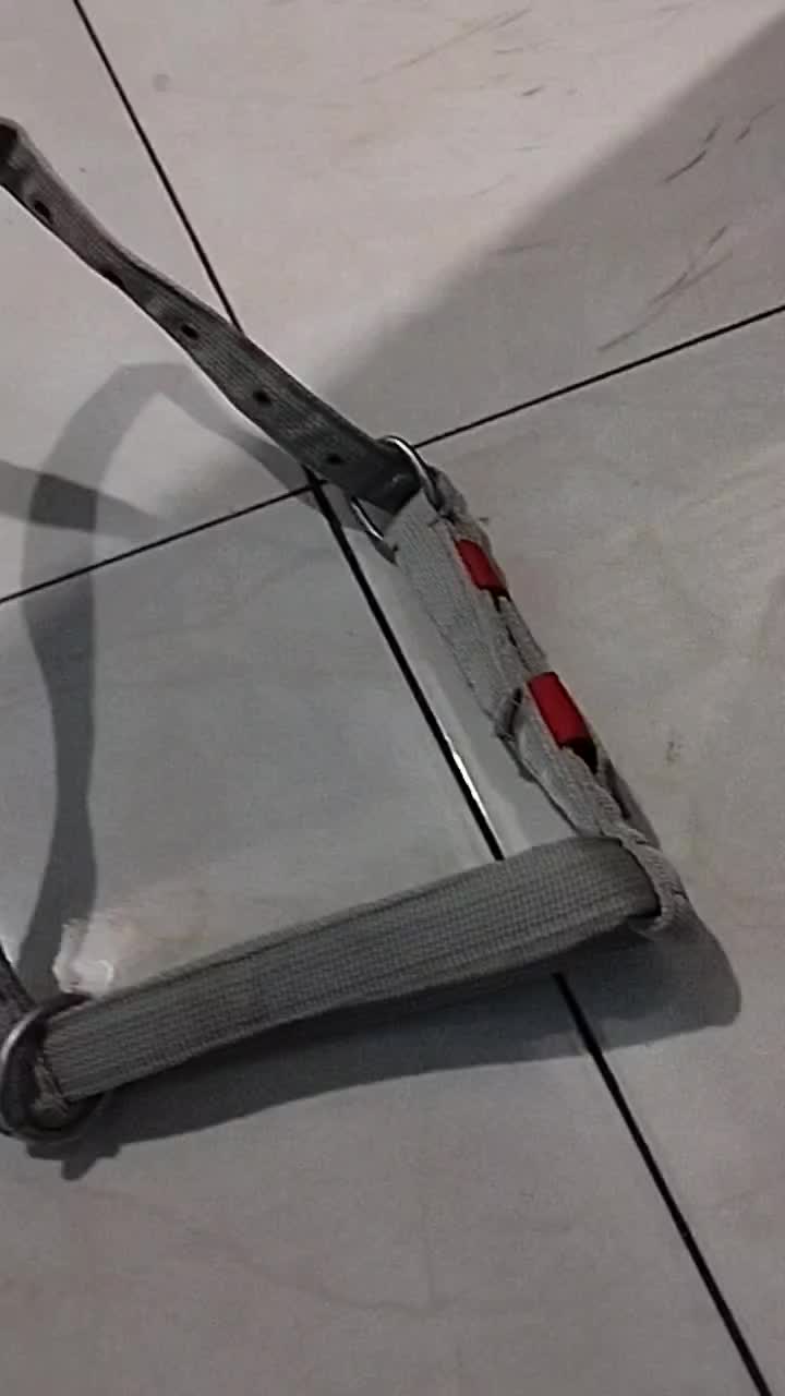 Halter Sapi || Bacok Sapi || Brangus Sapi || Tali sapi Kalung Sapi