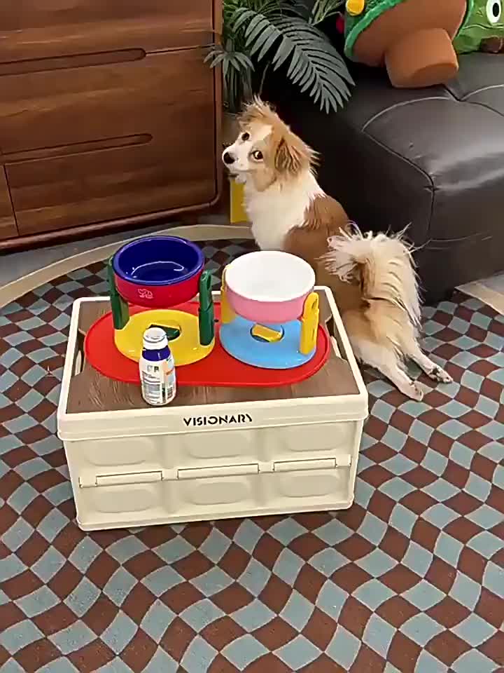 AimayaPet - Liftable Pet Bowl Mangkuk Tinggi Untuk Kucing Height Adjustable Cat Bowl Mangkuk Kucing Anjing Pet Bowl Neck Protection Tempat Makan Hewan Peliharaan Kaki Tinggi