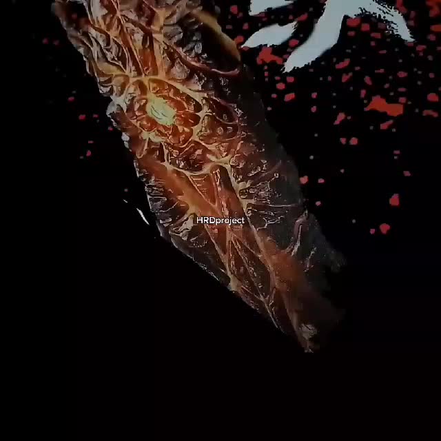 kaos donghua btth kaos btth xiao yan