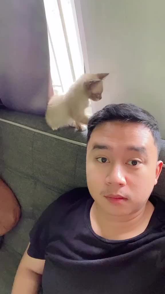 Furyou Cathealth Kapsul Flu Bersin Pilek Anabul