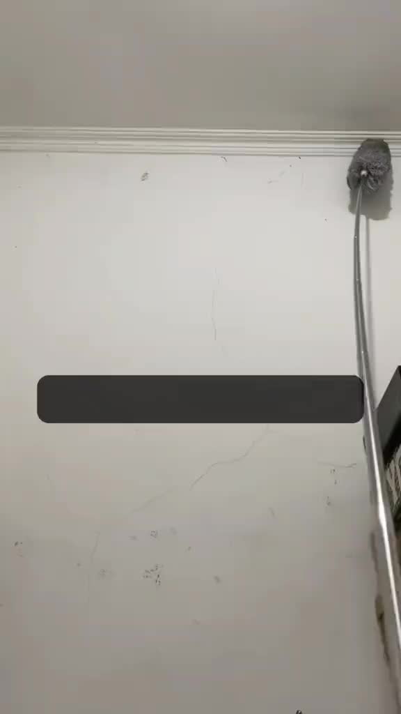 [FAJAR]lat Sapu Plafon Pembersih Rumah 1set Langit-langit Kemoceng Teleskopik Adjustable Microfiber Tarik Tekuk Pembersih Debu 2.8M Stainless