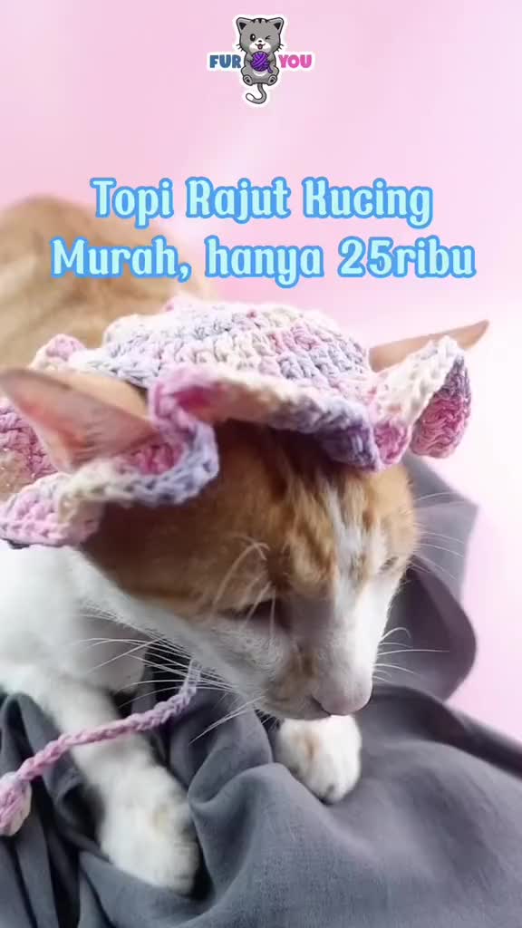 Topi Rajut Kucing Lucu Handmade