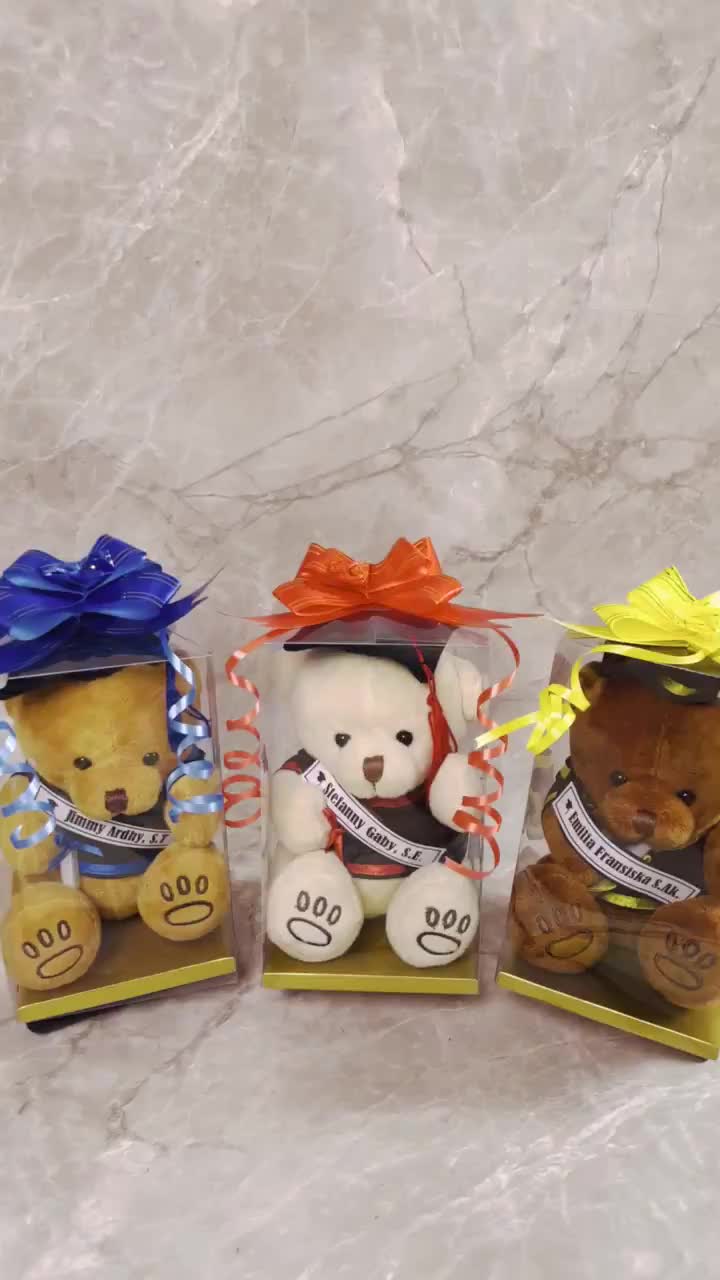 TERLARIS!! Boneka Wisuda / Boneka Wisuda Beruang / Hadiah Wisuda / Hadiah Graduation