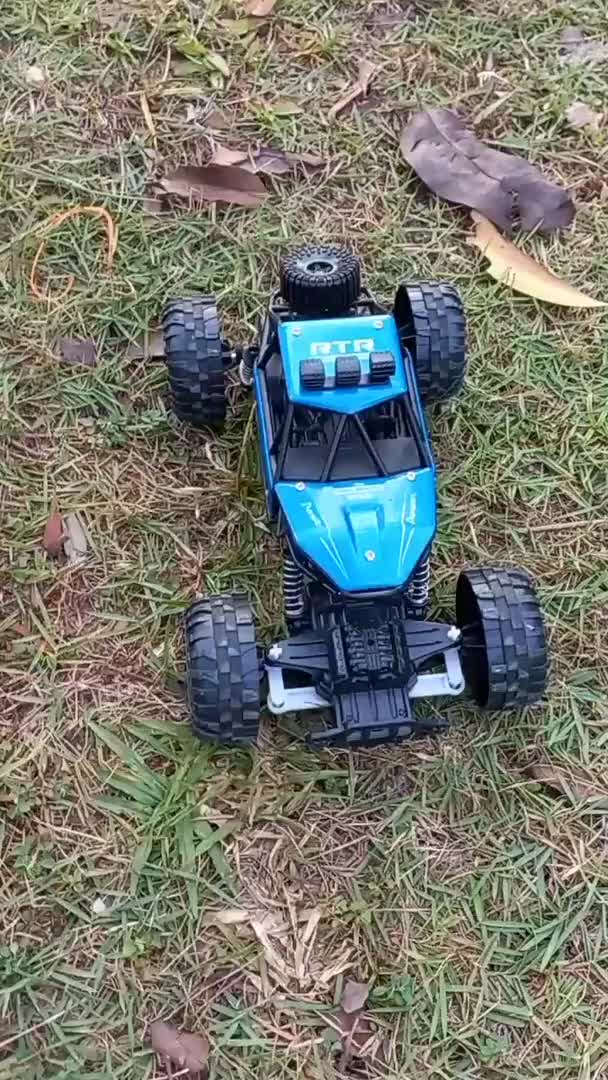 Mainan Anak Mobil Remote Control RC MONSTER CROSS COUNTRY SKALA 1 : 18