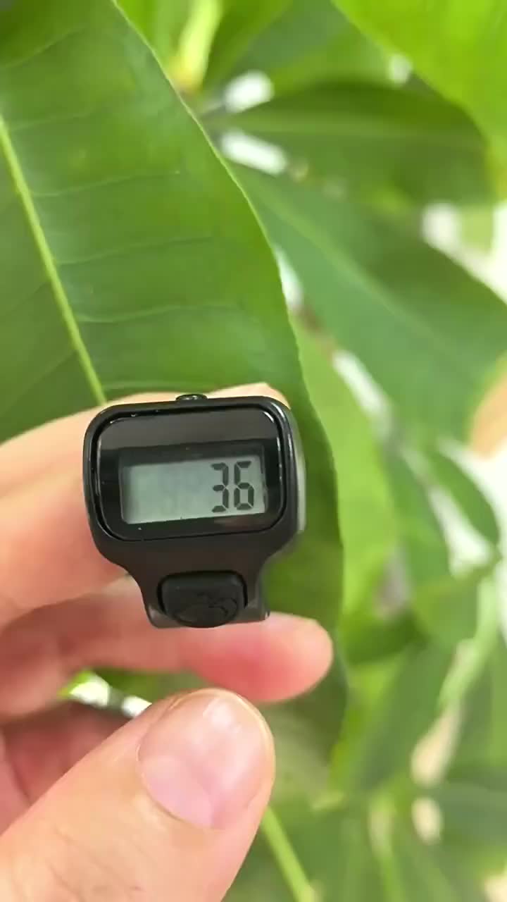 Tasbih Digital Mini Model Cincin / Alat Hitung Digital Tally Counter Manual Hand Counter / Alat Penghitung Digital / Finger Counter / Alat Hitung Jari / Dzikir Digital Cincin T11